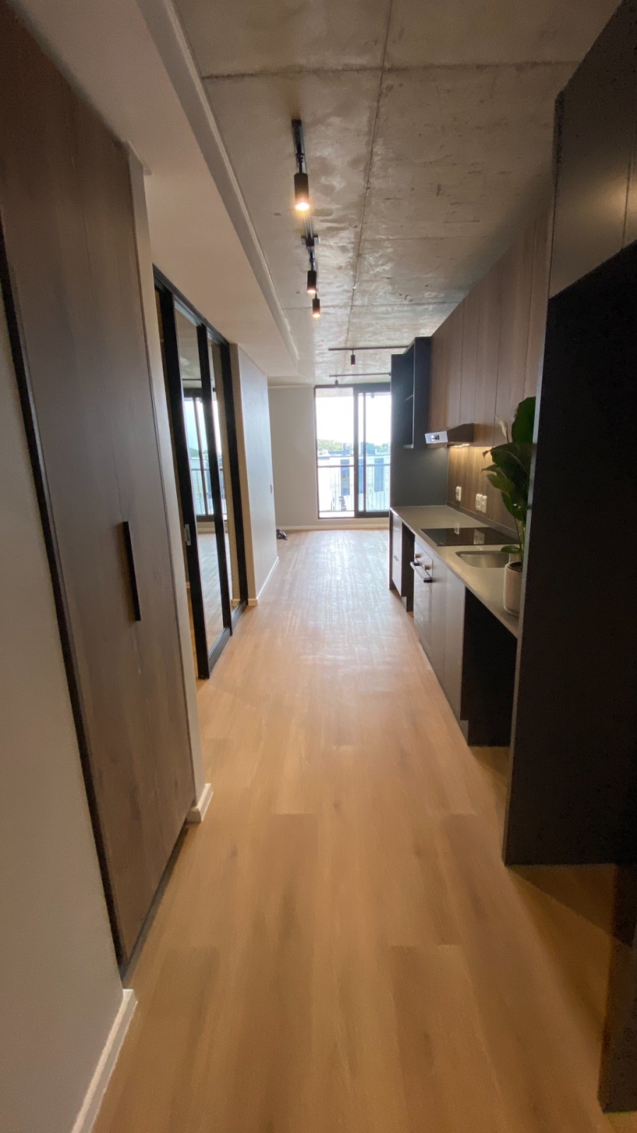 To Let 2 Bedroom Property for Rent in Observatory Western Cape